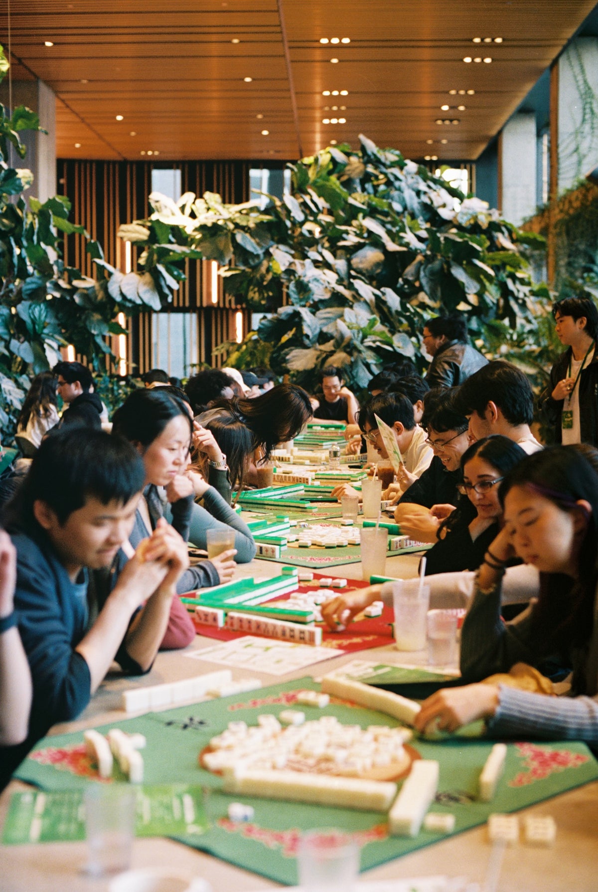 Cafe, Chow, & Climb